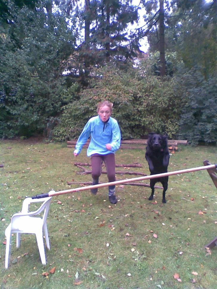 Blanding af racer Smilla billede 7