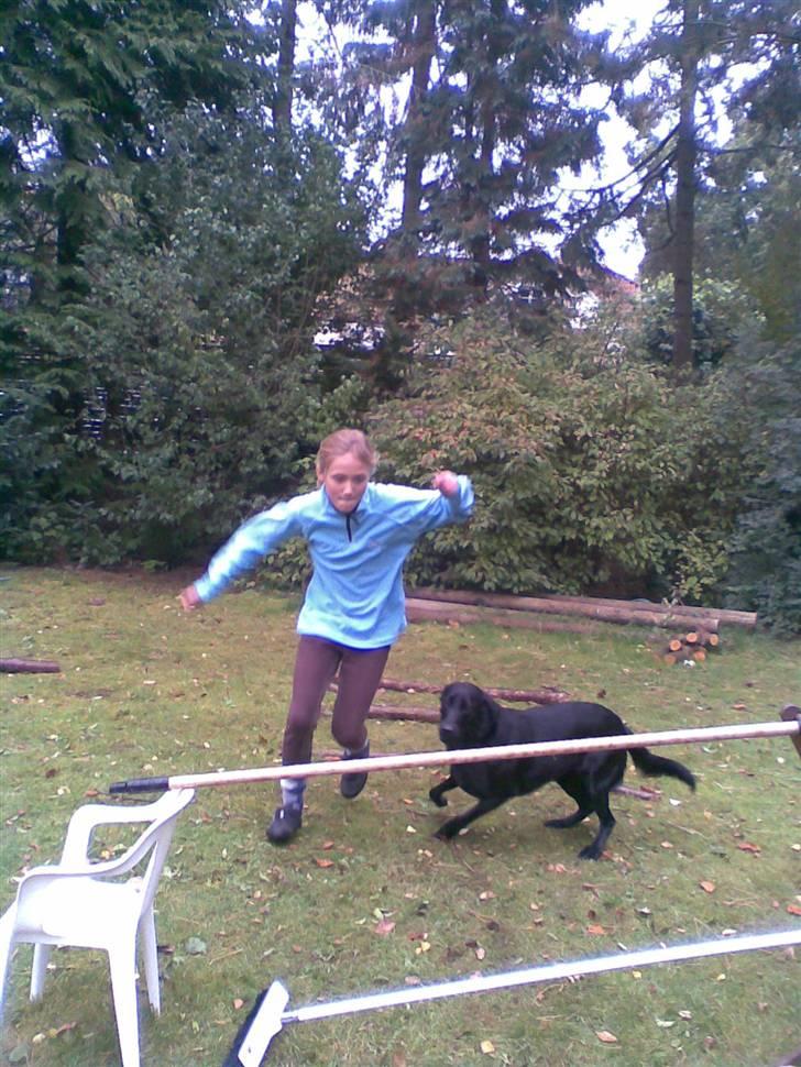 Blanding af racer Smilla billede 8