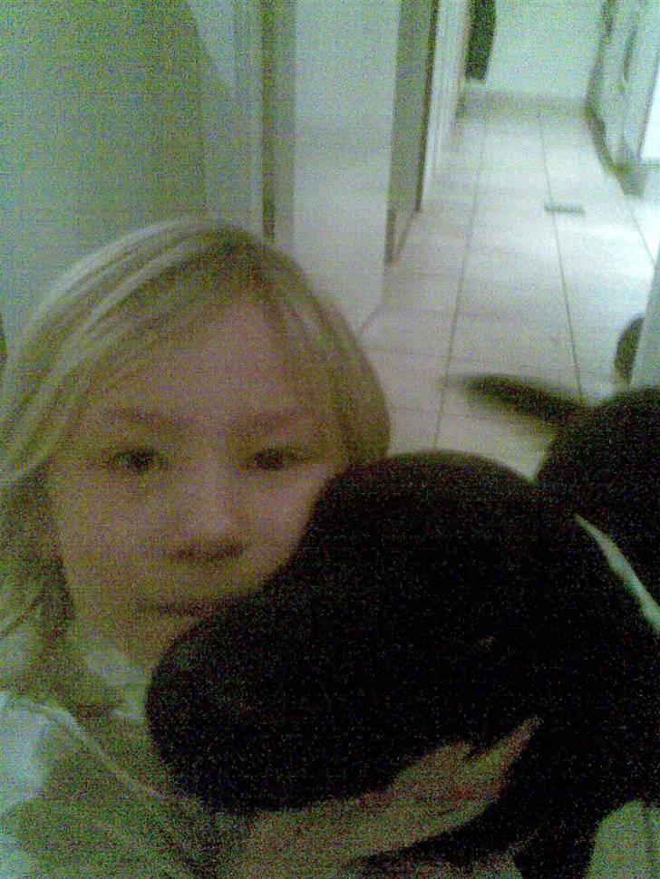 Blanding af racer Smilla billede 16