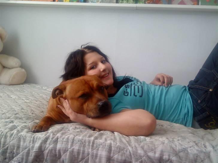 Staffordshire bull terrier Balou - min køldepot <33 billede 14