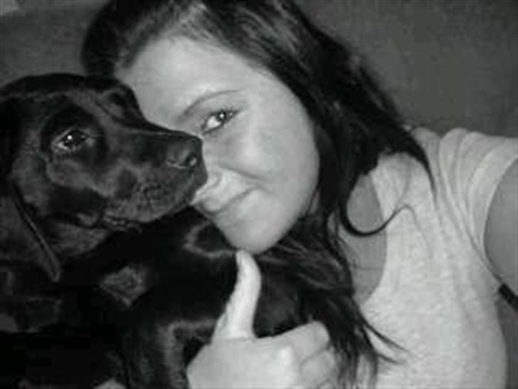 Labrador retriever malou billede 10