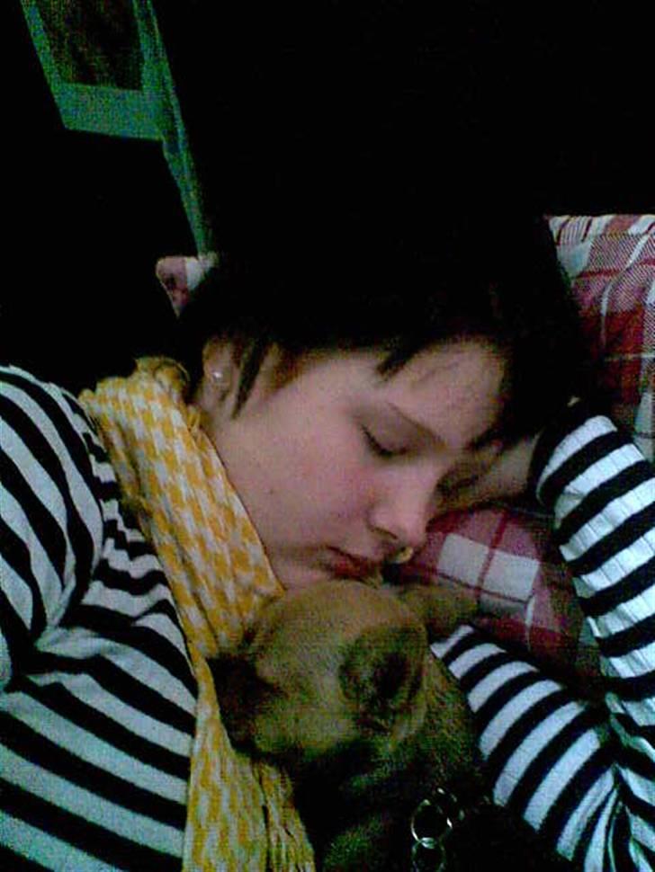 Chihuahua Oliver - Oliver & mig der sover . Han elsker at putte <3 billede 19