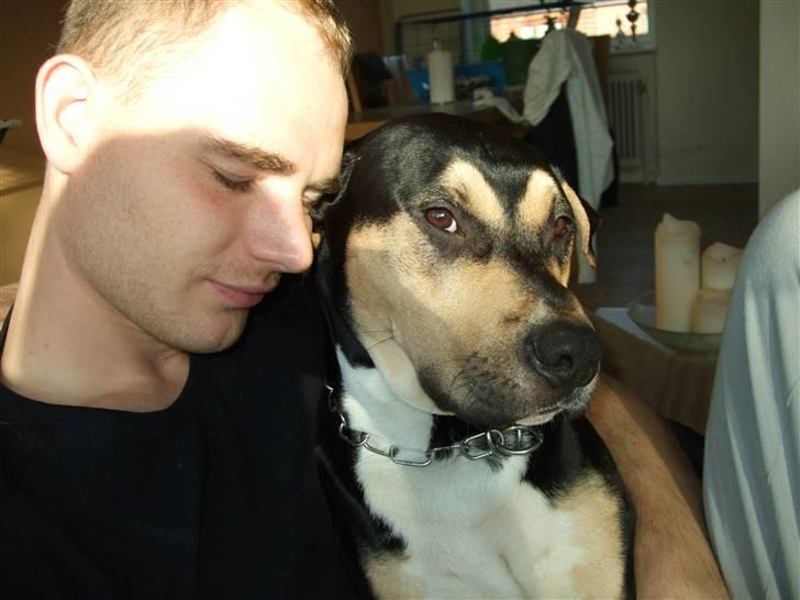 Blanding af racer Mars - To flotte fyrer... billede 9