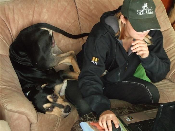 Blanding af racer Mars - halloooo mor.... billede 12