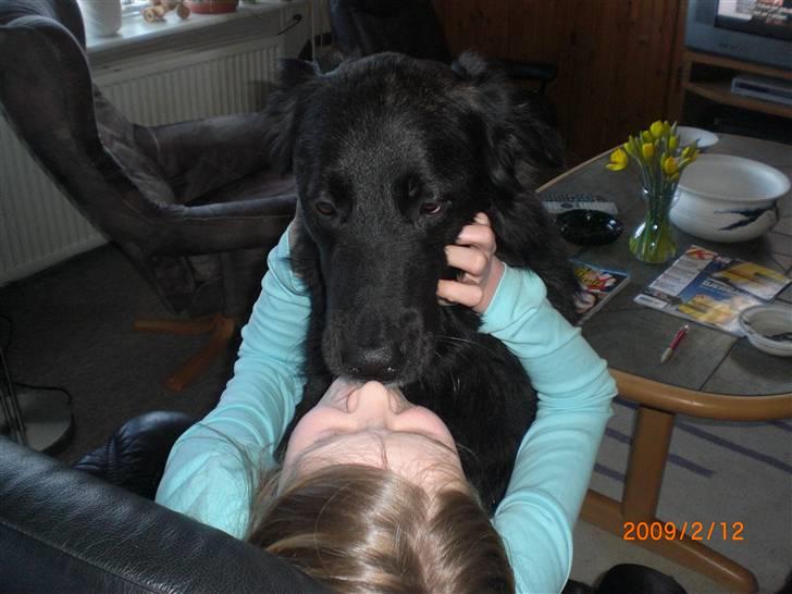 Blanding af racer bamse - jeg giver gerne kysser ud til pigerne det gør dem så glade, tror jeg da nok:) billede 13