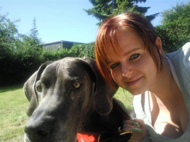 Grand danois ~Chang~ ~Himmelhund~ - august 2008....  billede 11