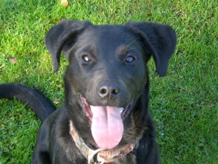 {{currentPhoto.altText}} billede {{currentPhoto.number}}