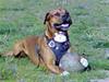 Blanding af racer Apollo # R.I.P #