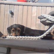 Blanding af racer Pippi