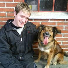 Blanding af racer Gloria