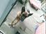 Schæferhund Never say never R.I.P :'(