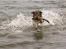 Blanding af racer Freya - Freya 5 mdr.