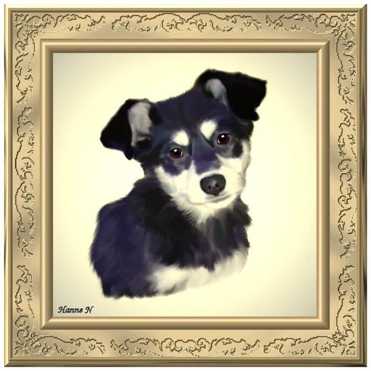 Blanding af racer Khala billede 13