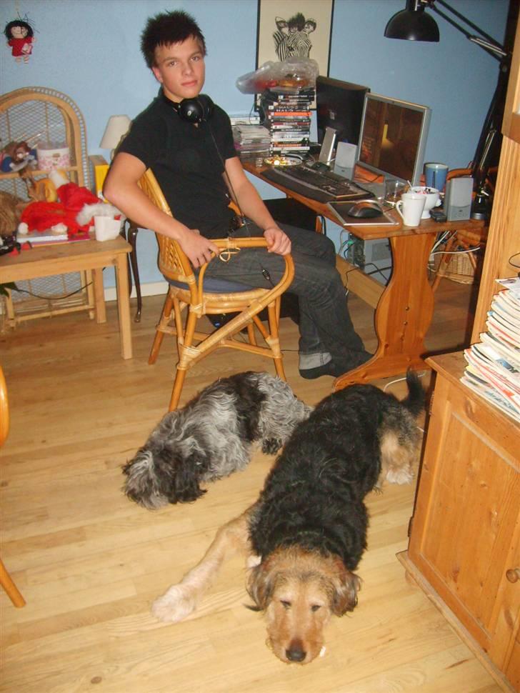 Schapendoes Luna. - Sebastian, min dreng på 17 med hundene. billede 2