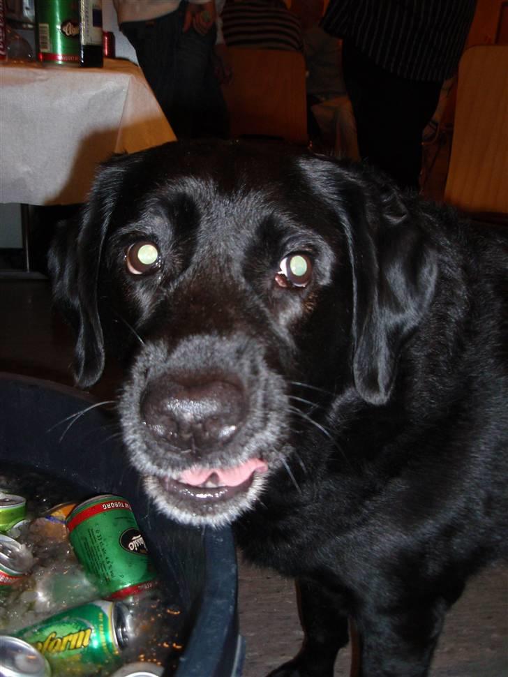 Blanding af racer Nokia - vandet var lidt koldet..... billede 20