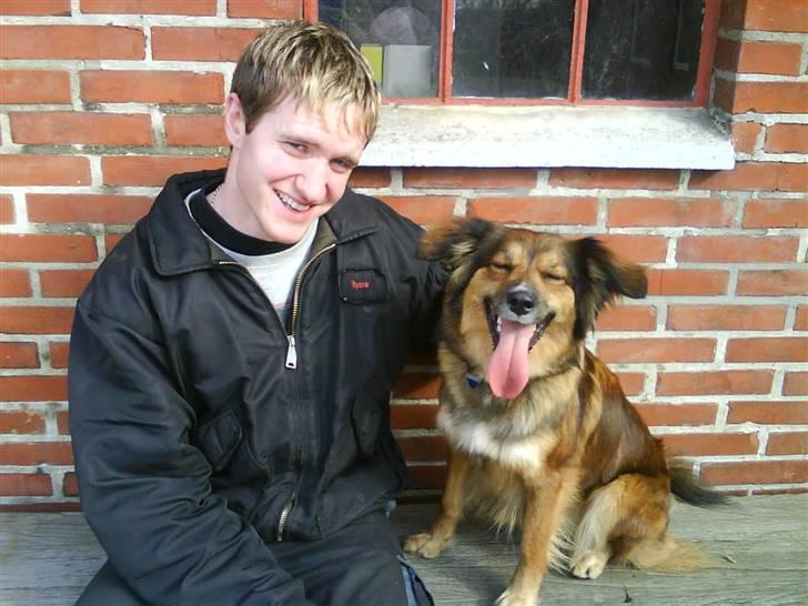 Blanding af racer Gloria billede 2