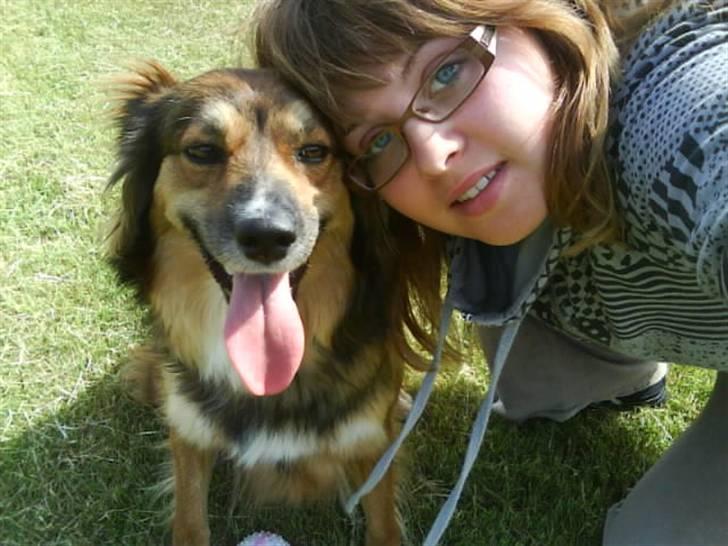 Blanding af racer Gloria billede 3