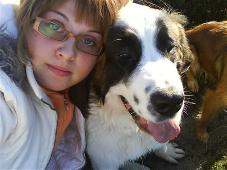 Sankt bernhardshund Chica R.I.P billede 20