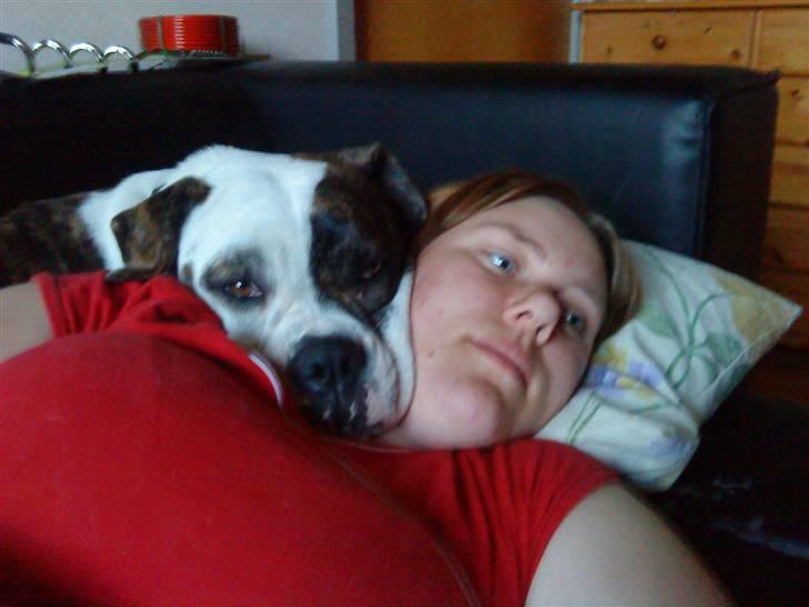 Amerikansk bulldog Izzy Aka. Koldbøtten ;) - 10. :-O Så blev man lige nedlagt af en puttesyg "kamphund"! billede 10