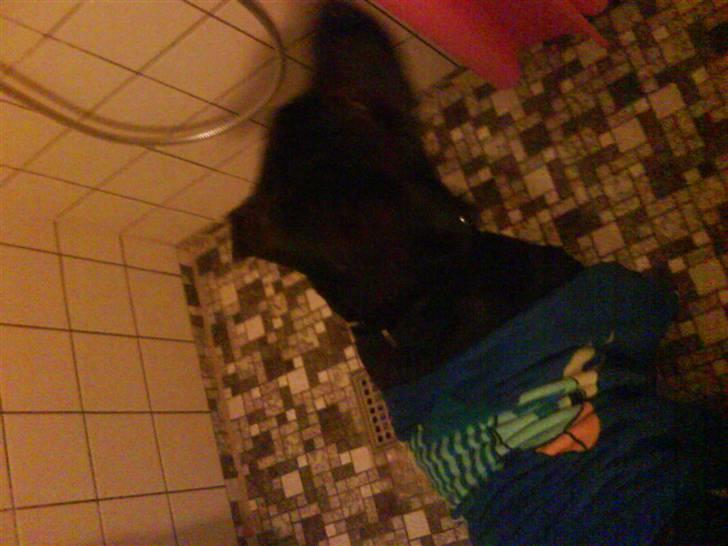 Blanding af racer kia - øøøøøvvvv et bad billede 2