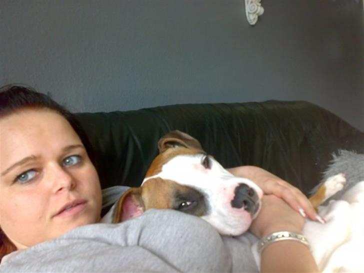 Amerikansk staffordshire terrier ~Alina~ *Himmelhund* billede 10