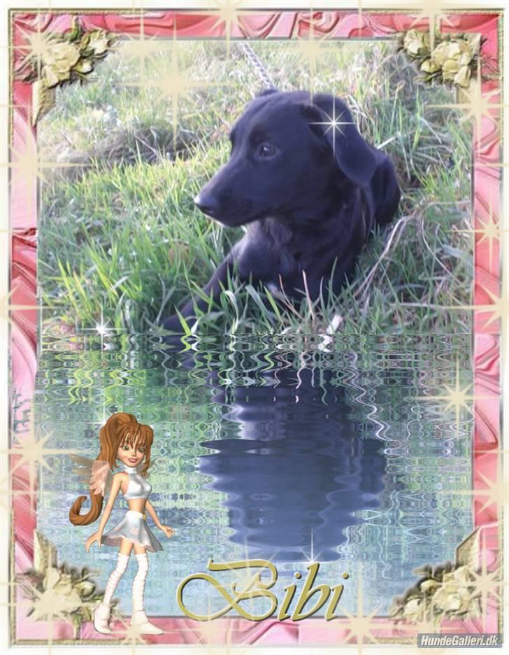 Blanding af racer bibi lige blvet solgt :`( billede 5