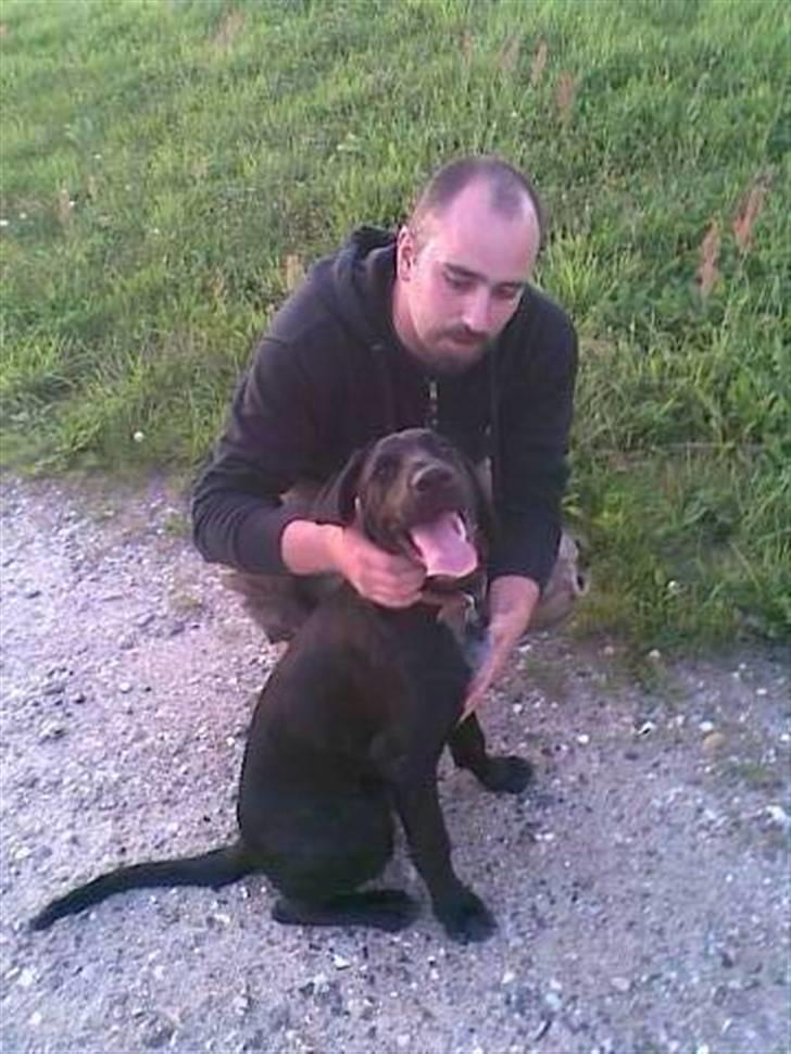 Blanding af racer Frej billede 12