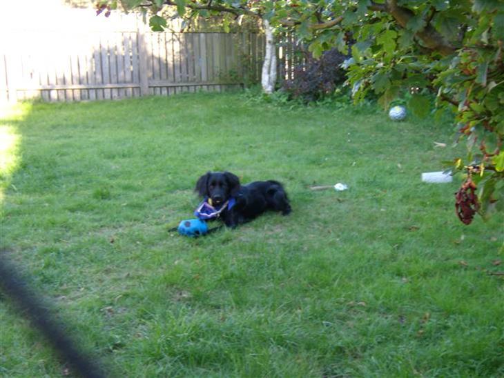 {{currentPhoto.altText}} billede {{currentPhoto.number}}