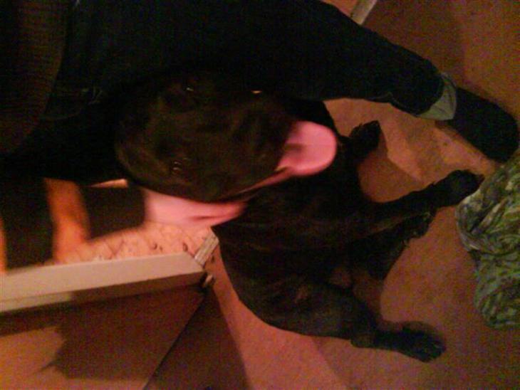 {{currentPhoto.altText}} billede {{currentPhoto.number}}