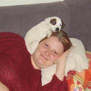 Parson russell terrier Dora