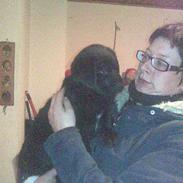 Blanding af racer Loke