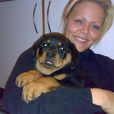 Rottweiler Brown Emma´s Yaska