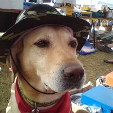 Blanding af racer Snickers