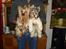 Biewer yorkshire terrier Zilly in white vom Weinbe - Herkules og Xano.