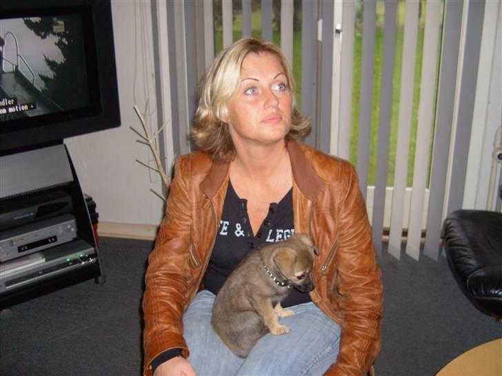 Blanding af racer Smilla - mor er den bedste i verden billede 2