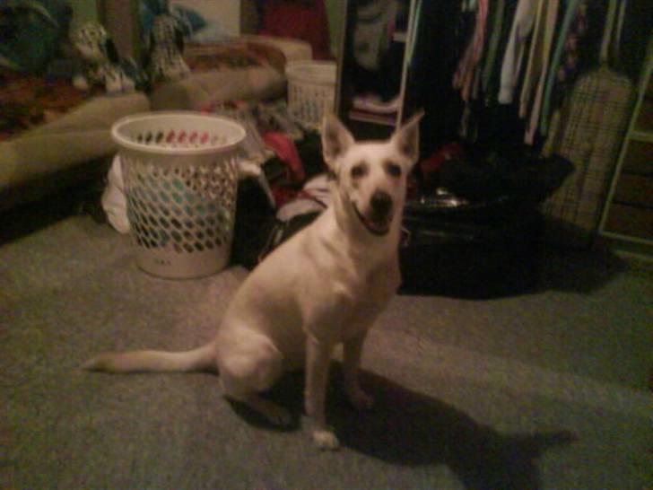 Blanding af racer jessi billede 6