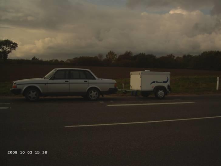 Schæferhund Janki Zarko R.I.P - Fin ny hundetrailer fra herfølge trailercenter billede 11