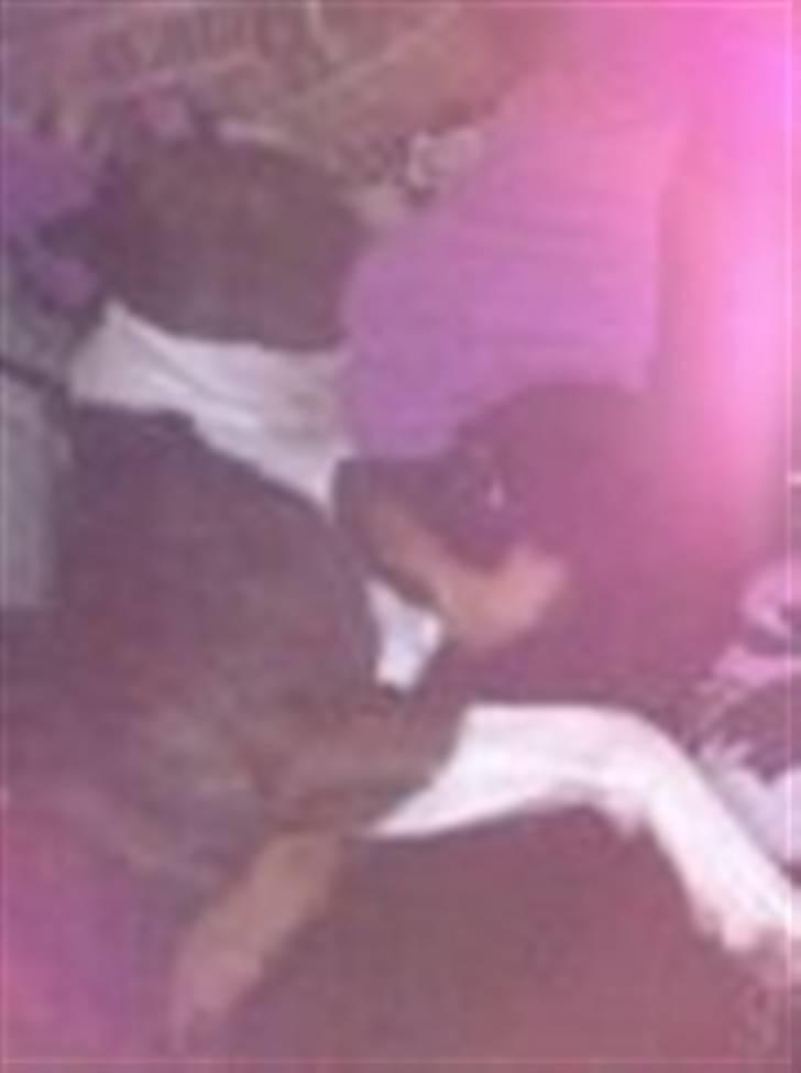 Rottweiler simba billede 10