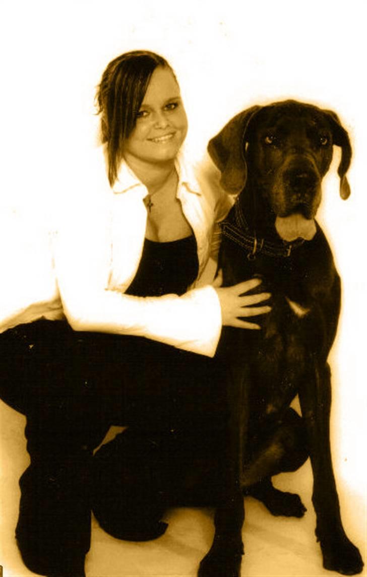 Grand danois ~Chang~ ~Himmelhund~ - 7 eller 8 år gammel... :) hos fotograf....  billede 12