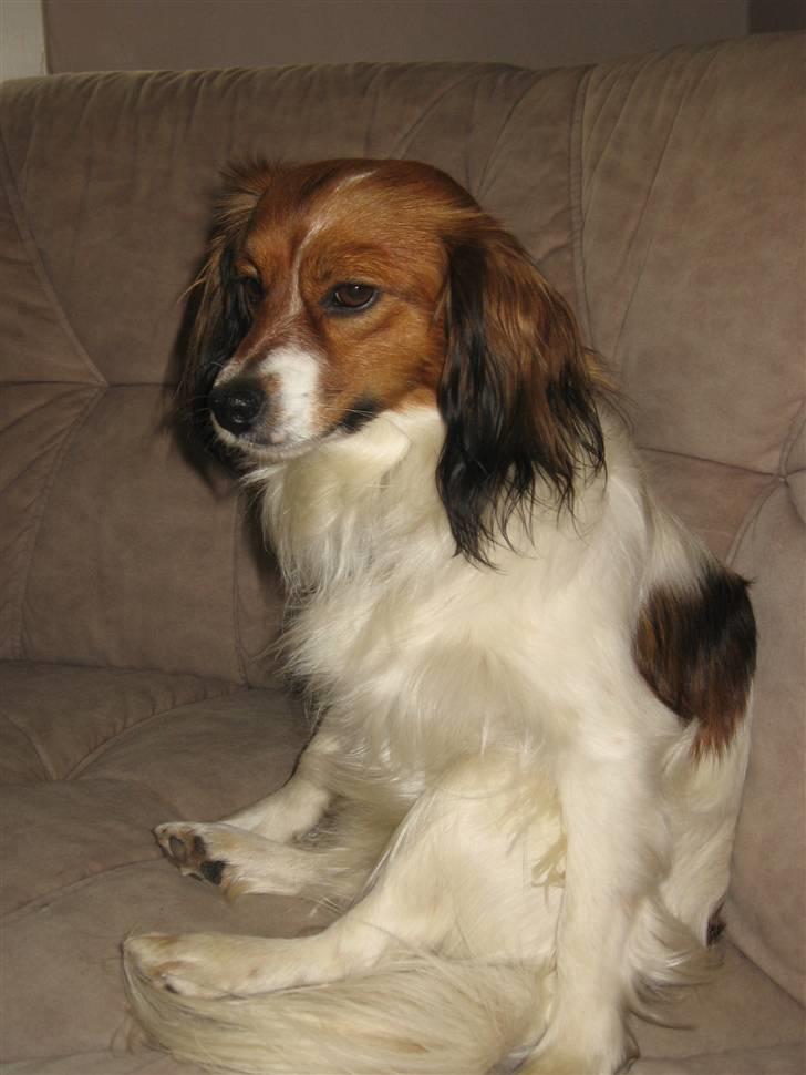 Blanding af racer Buddy Love - Bubbe sidder på hans MÅS!!! billede 10