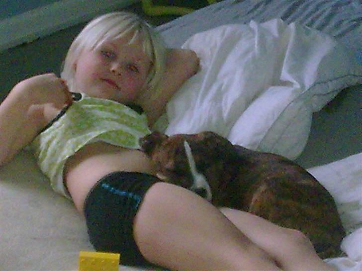 Blanding af racer Gucci billede 3