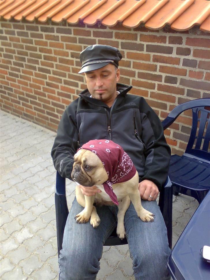 Fransk bulldog Lancomés   Trunte R.I.P - min far og mig med hat billede 20