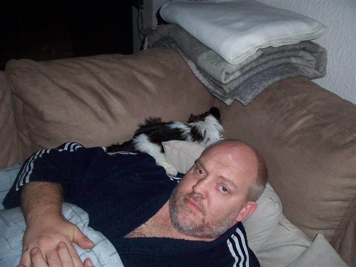 Lhasa apso Fiona R.i.P Fiona 28/09-2018 - Far må jeg ikke gemme mig her. billede 4