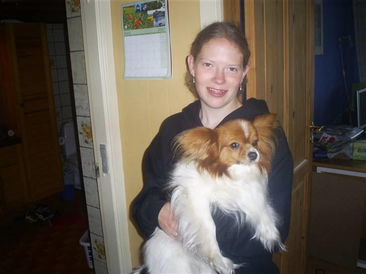 Papillon luffe - luffe og janni billede 4