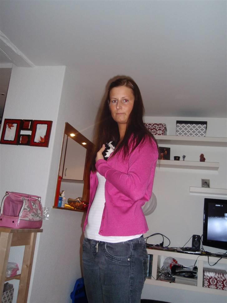 Chihuahua Mulle - Ejeren med den bette billede 8