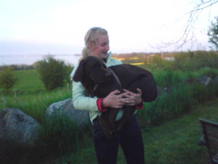 Blanding af racer Choco billede 5