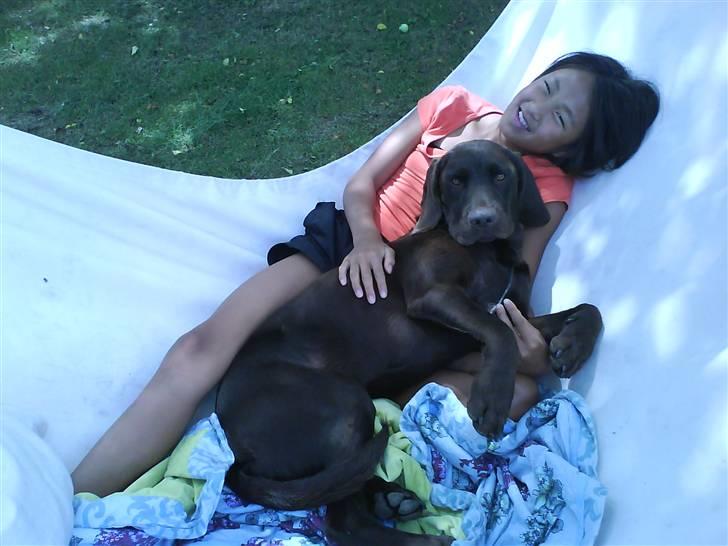 Blanding af racer Choco billede 7