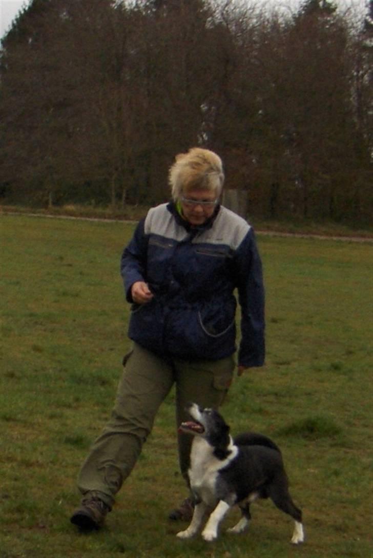 Blanding af racer marco billede 19