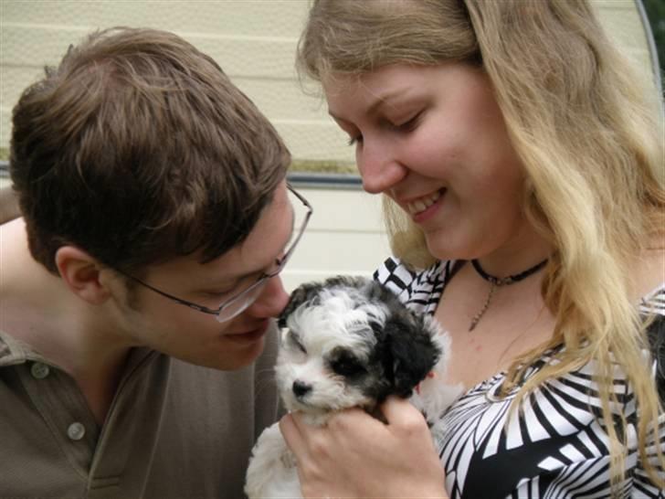 Løwchen Milo - Store flyttedag^^ billede 19