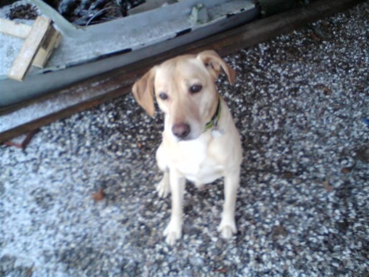 Blanding af racer Snickers - Er du nu vi skal lege? billede 12